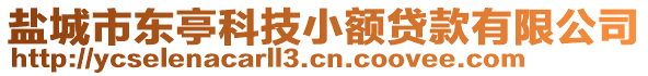 鹽城市東亭科技小額貸款有限公司