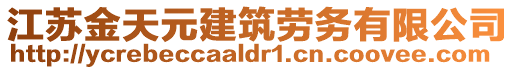 江蘇金天元建筑勞務(wù)有限公司