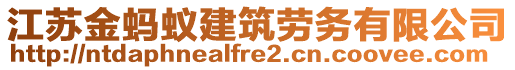 江蘇金螞蟻建筑勞務(wù)有限公司