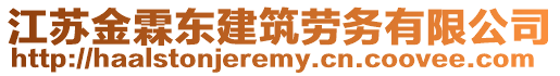 江蘇金霖東建筑勞務(wù)有限公司