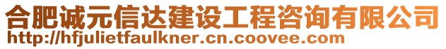 合肥誠(chéng)元信達(dá)建設(shè)工程咨詢有限公司