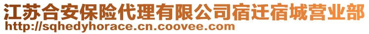 江蘇合安保險代理有限公司宿遷宿城營業(yè)部