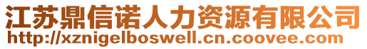 江蘇鼎信諾人力資源有限公司