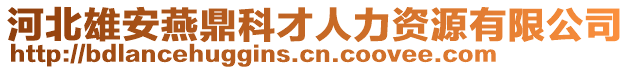 河北雄安燕鼎科才人力資源有限公司