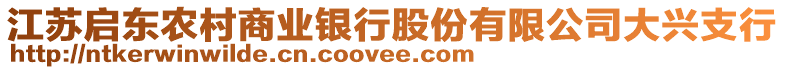 江苏启东农村商业银行股份有限公司大兴支行