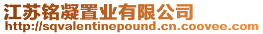 江蘇銘凝置業有限公司