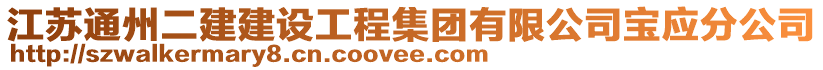 江蘇通州二建建設(shè)工程集團(tuán)有限公司寶應(yīng)分公司