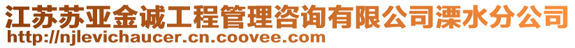 江蘇蘇亞金誠工程管理咨詢有限公司溧水分公司