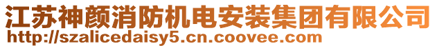 江蘇神顏消防機電安裝集團有限公司