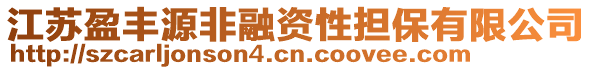 江蘇盈豐源非融資性擔(dān)保有限公司