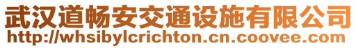 武漢道暢安交通設(shè)施有限公司