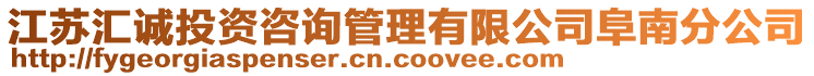 江蘇匯誠投資咨詢管理有限公司阜南分公司