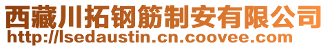 西藏川拓鋼筋制安有限公司