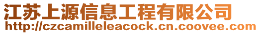 江蘇上源信息工程有限公司