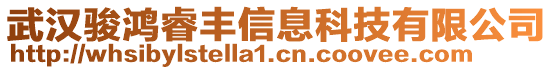 武漢駿鴻睿豐信息科技有限公司