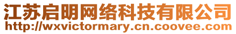 江蘇啟明網(wǎng)絡(luò)科技有限公司