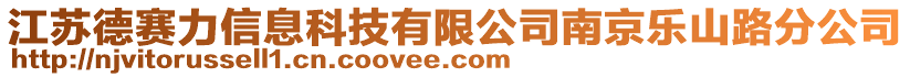 江蘇德賽力信息科技有限公司南京樂山路分公司