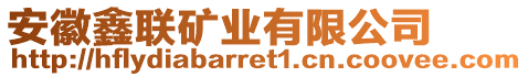 安徽鑫聯(lián)礦業(yè)有限公司