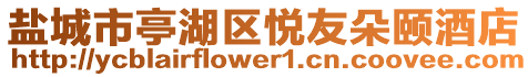 鹽城市亭湖區(qū)悅友朵頤酒店