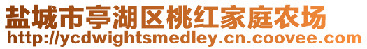 鹽城市亭湖區(qū)桃紅家庭農(nóng)場