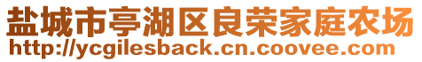 鹽城市亭湖區(qū)良榮家庭農(nóng)場