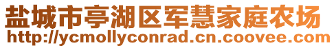 鹽城市亭湖區(qū)軍慧家庭農(nóng)場