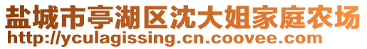 鹽城市亭湖區(qū)沈大姐家庭農(nóng)場(chǎng)