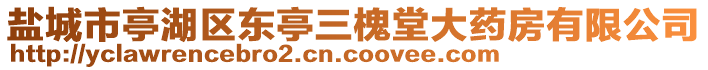 鹽城市亭湖區(qū)東亭三槐堂大藥房有限公司