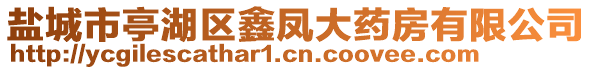 鹽城市亭湖區(qū)鑫鳳大藥房有限公司