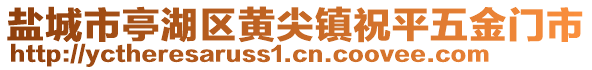 鹽城市亭湖區黃尖鎮祝平五金門市