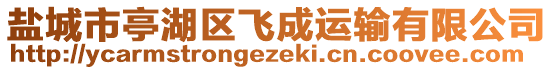 鹽城市亭湖區(qū)飛成運(yùn)輸有限公司