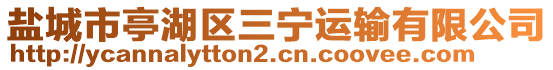 鹽城市亭湖區三寧運輸有限公司