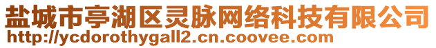 鹽城市亭湖區(qū)靈脈網(wǎng)絡科技有限公司