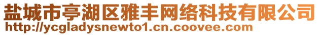 鹽城市亭湖區(qū)雅豐網(wǎng)絡(luò)科技有限公司