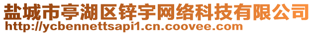 鹽城市亭湖區(qū)鋅宇網(wǎng)絡(luò)科技有限公司