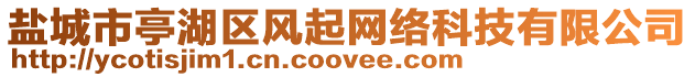 鹽城市亭湖區(qū)風起網(wǎng)絡科技有限公司