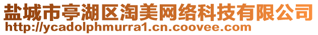 鹽城市亭湖區(qū)淘美網(wǎng)絡科技有限公司