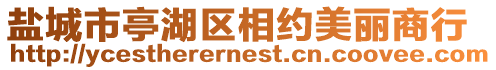 鹽城市亭湖區(qū)相約美麗商行