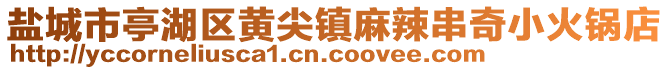 鹽城市亭湖區(qū)黃尖鎮(zhèn)麻辣串奇小火鍋店