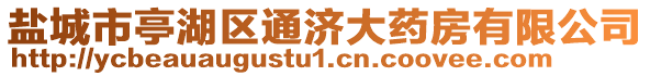 鹽城市亭湖區通濟大藥房有限公司