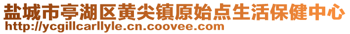 鹽城市亭湖區(qū)黃尖鎮(zhèn)原始點(diǎn)生活保健中心