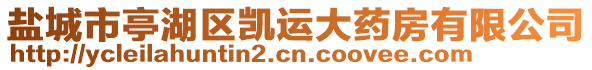 鹽城市亭湖區凱運大藥房有限公司