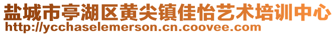 鹽城市亭湖區(qū)黃尖鎮(zhèn)佳怡藝術(shù)培訓(xùn)中心