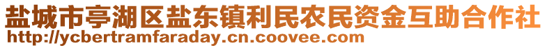 鹽城市亭湖區鹽東鎮利民農民資金互助合作社