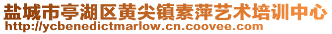 鹽城市亭湖區(qū)黃尖鎮(zhèn)素萍藝術(shù)培訓(xùn)中心