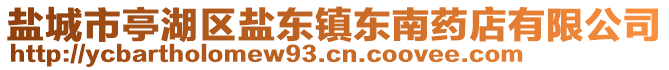 鹽城市亭湖區(qū)鹽東鎮(zhèn)東南藥店有限公司