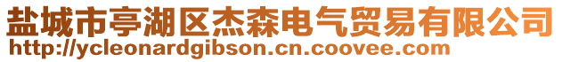 鹽城市亭湖區杰森電氣貿易有限公司