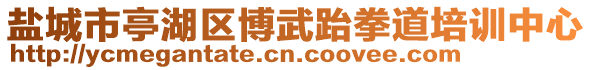 鹽城市亭湖區博武跆拳道培訓中心
