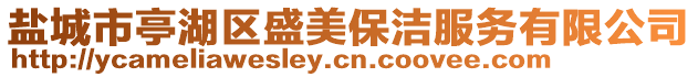 鹽城市亭湖區盛美保潔服務有限公司