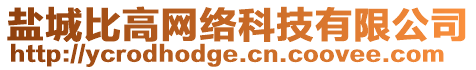 鹽城比高網(wǎng)絡(luò)科技有限公司